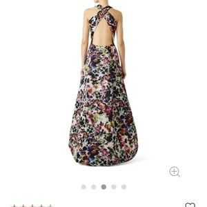 Monique Lhuillier Evening Gown